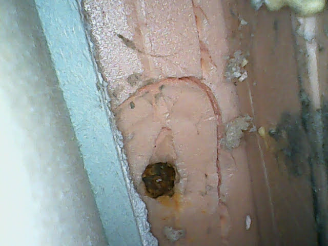 temporary_file - 복사본.jpg