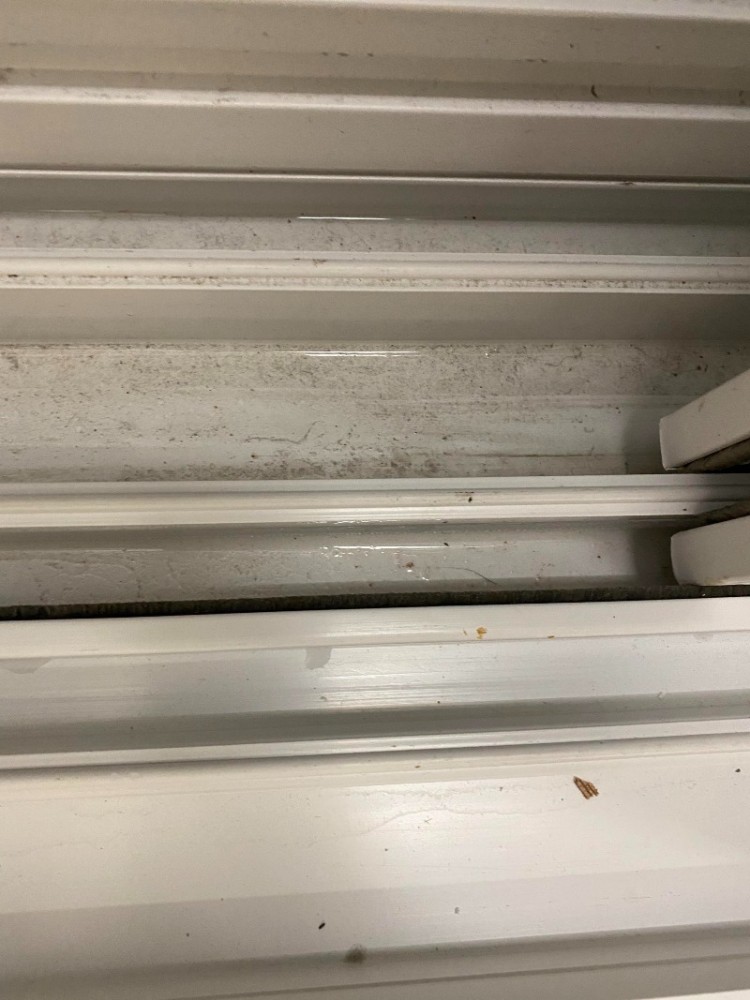 물고임 .jpg