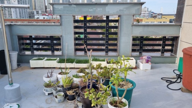 R_7-가. 건물 정면 파라펫부의 모습.jpg