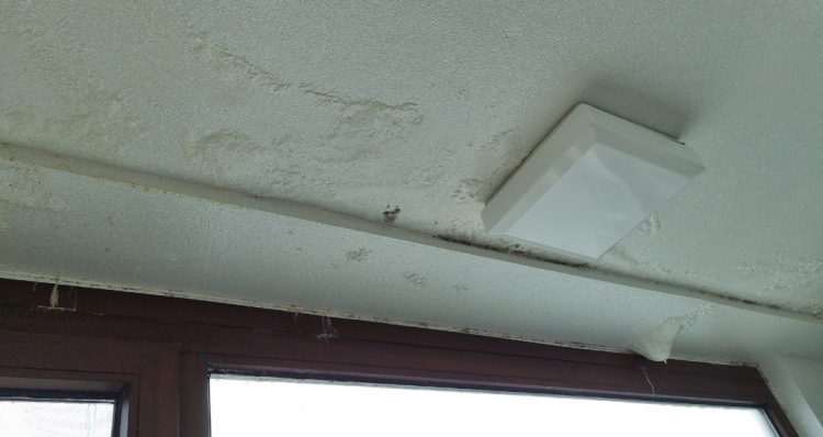 2022-08-18 18;55;11.PNG