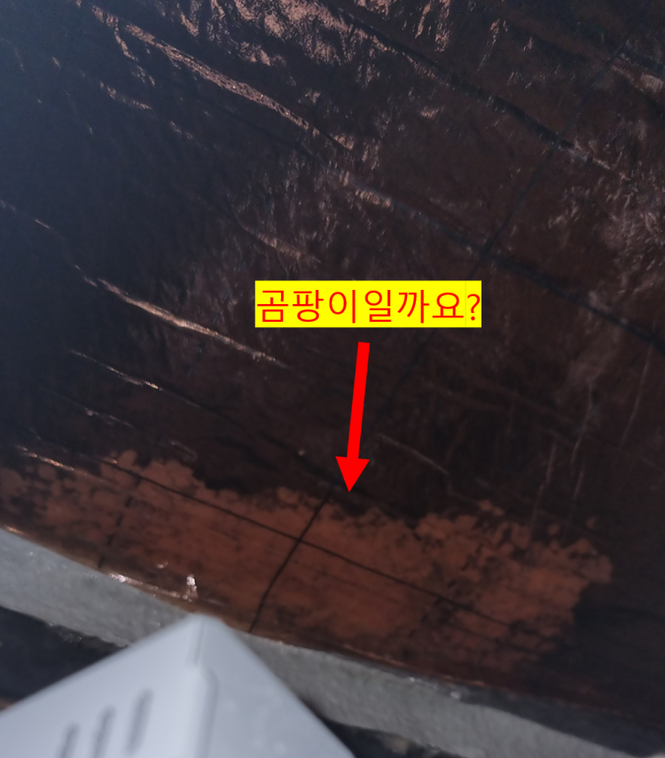 2022-08-21 17;41;30.PNG