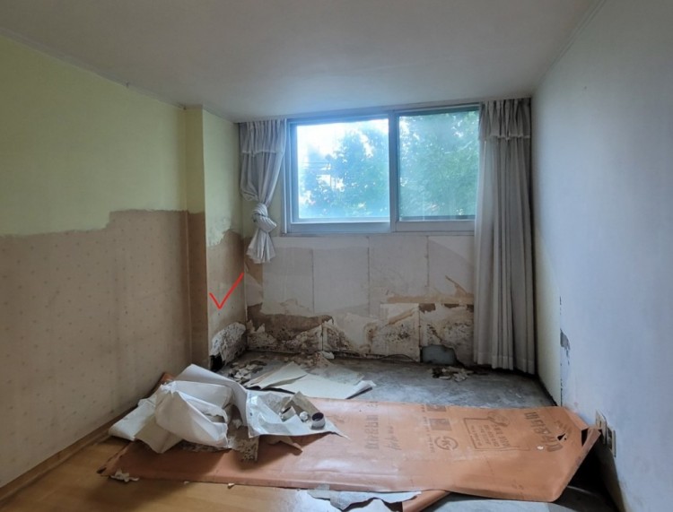 화면 캡처 2022-08-30 161456.jpg