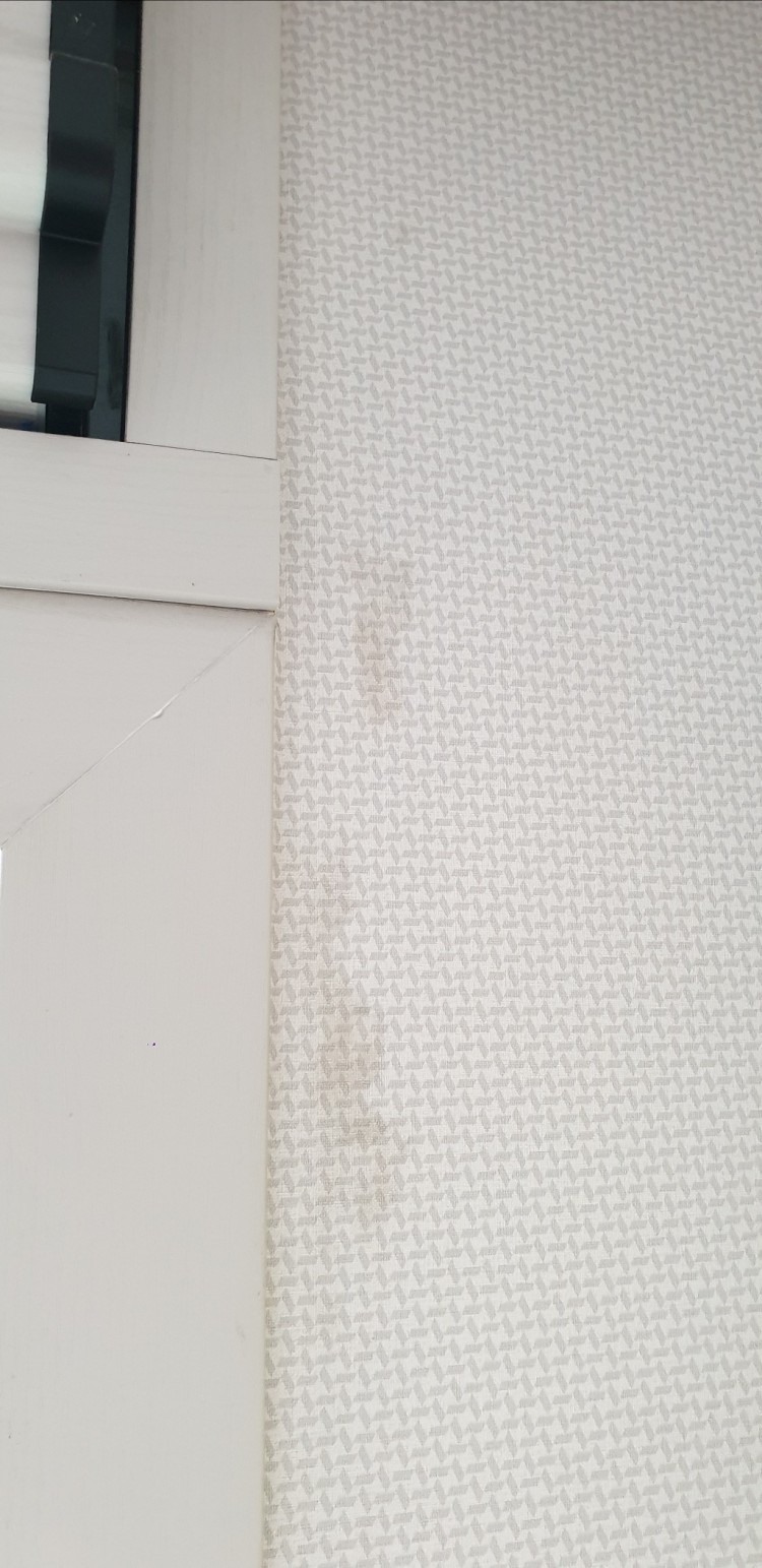 20220927_벽지 얼룩사진1.jpg