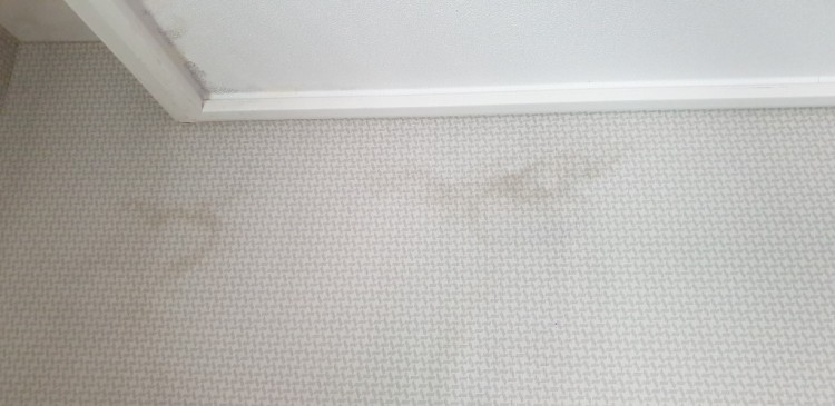 20220927_벽지및천정 얼룩사진1.jpg