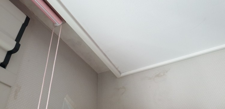 20220927_벽지및천정 얼룩사진2.jpg