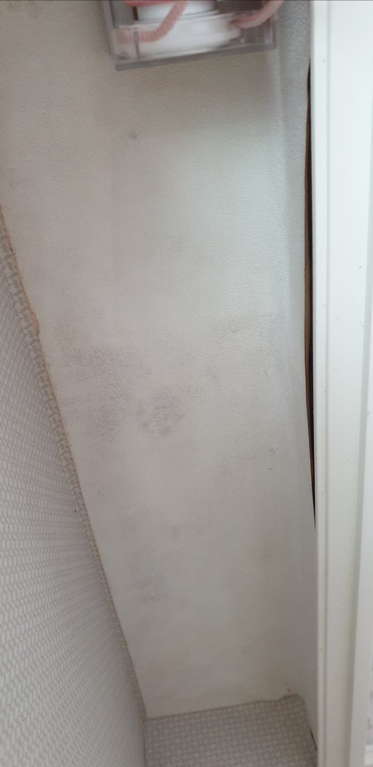 20220927_천장 얼룩사진1.jpg