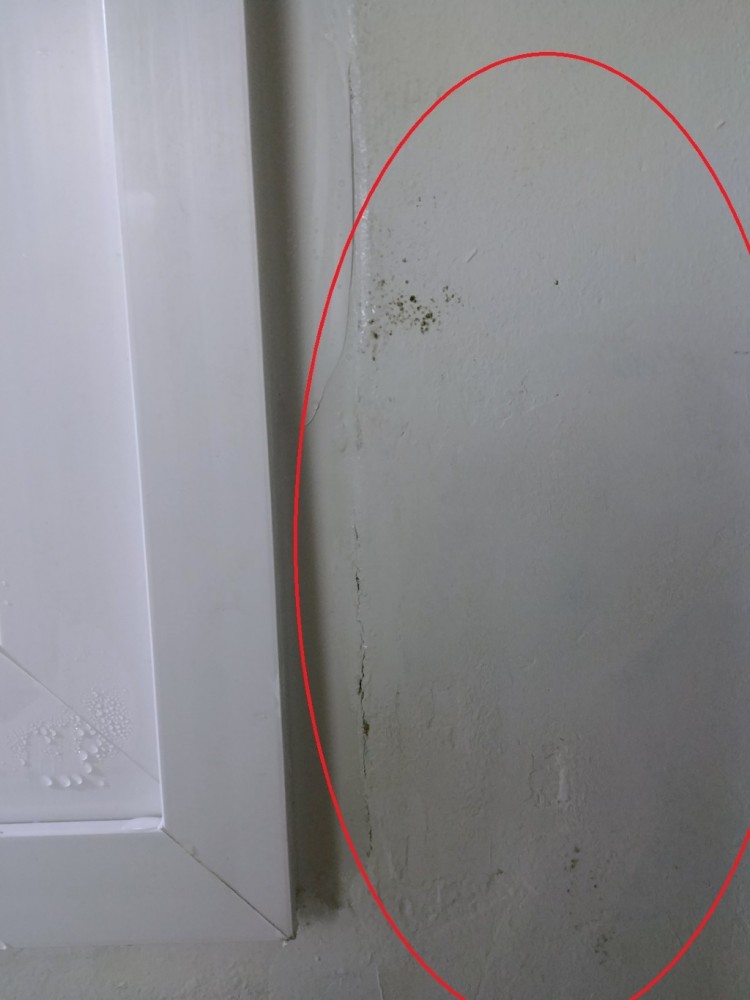 곰팡이와 하자 (1).jpg