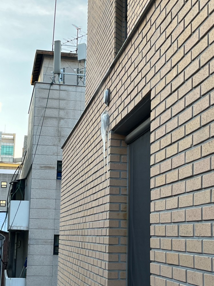 2022-12-16 08.31.24.jpg