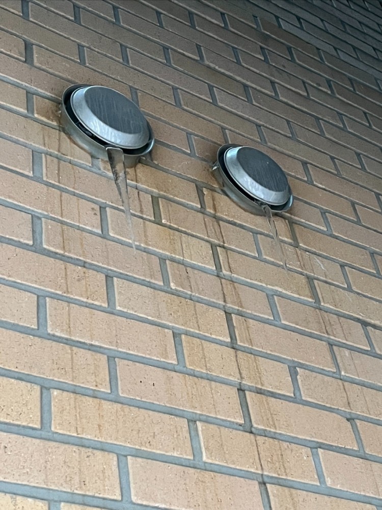 2023-01-30 08.09.18.jpg