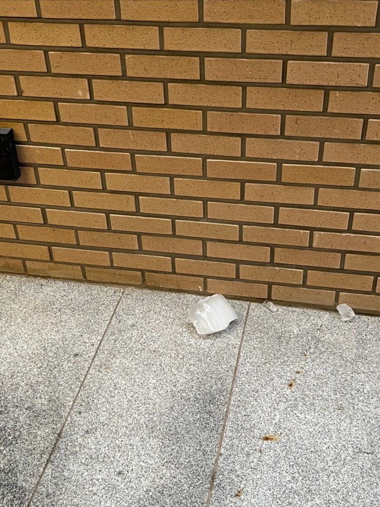 2023-01-29 17.19.57.jpg