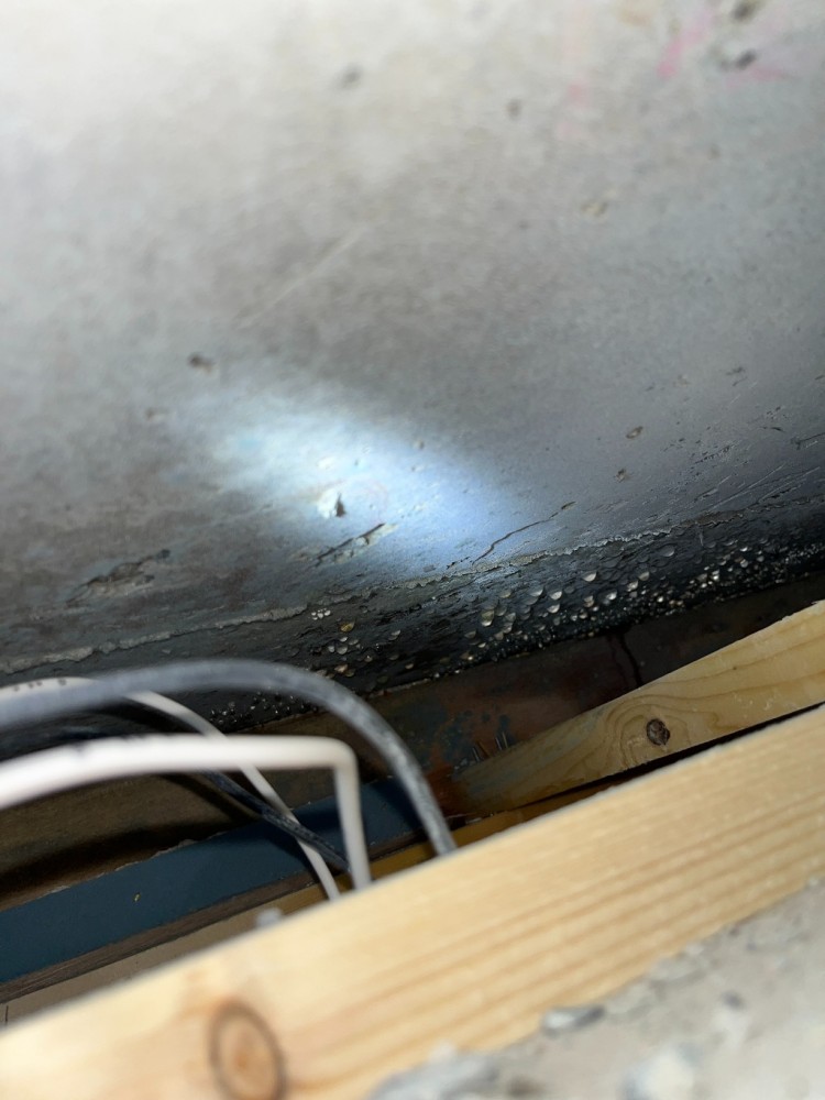 2022-12-18 18.21.51.jpg