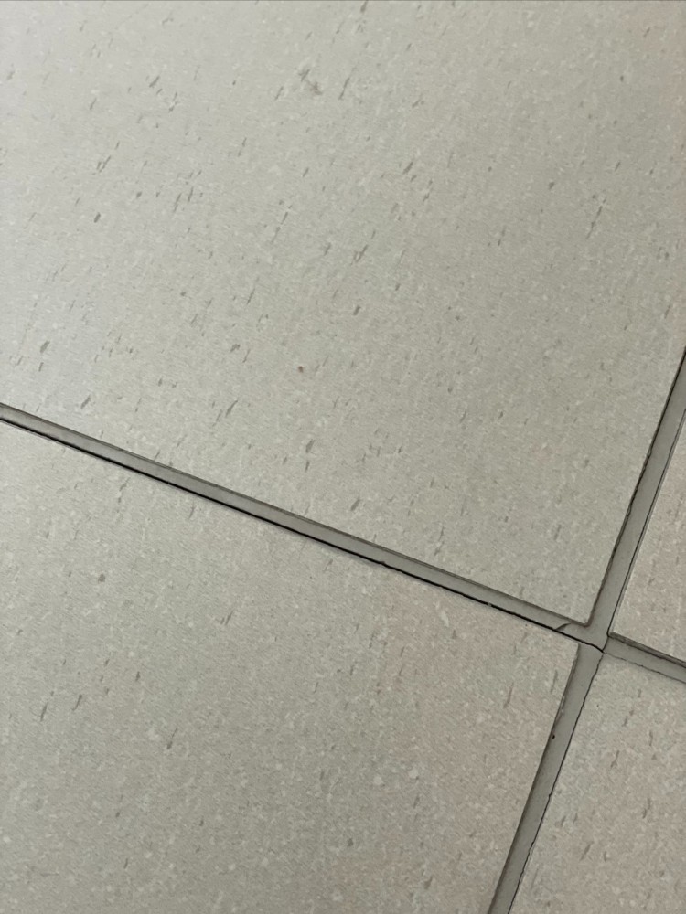 KakaoTalk_Photo_2023-05-23-09-43-43 004.jpeg