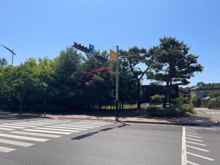 완충녹지 사진.jpg