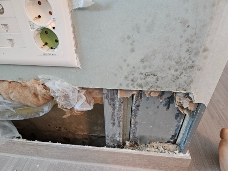 KakaoTalk_20230618_122202167_07 (1).jpg