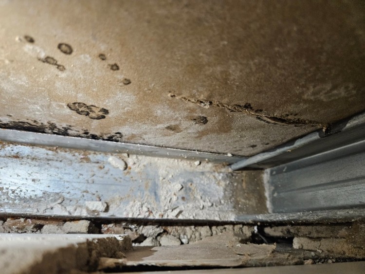 KakaoTalk_20230618_122202167_13 (1).jpg