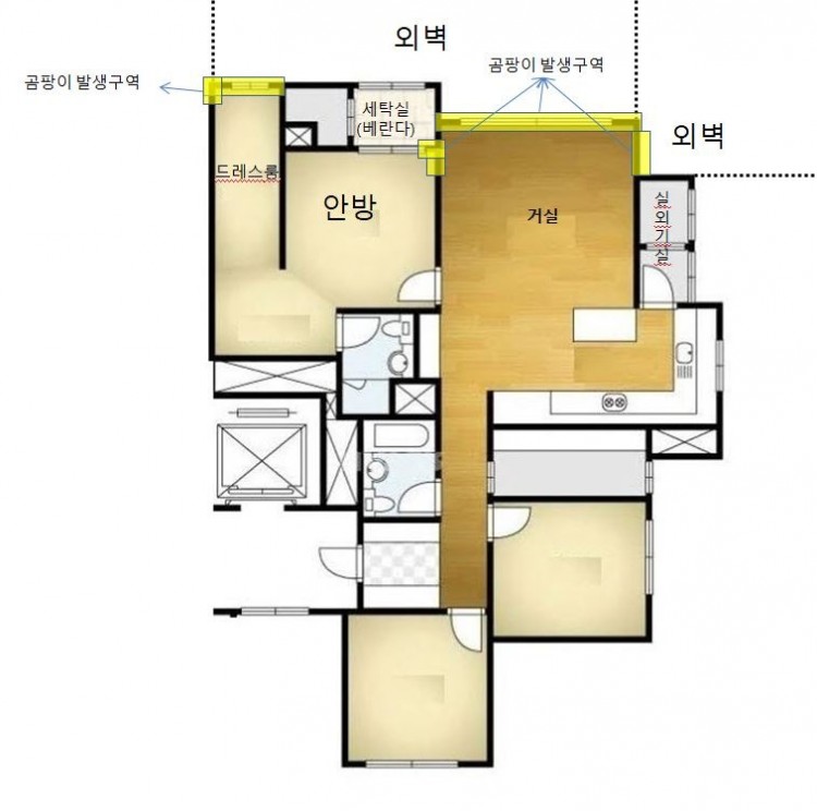 곰팡이 발생구역.JPG