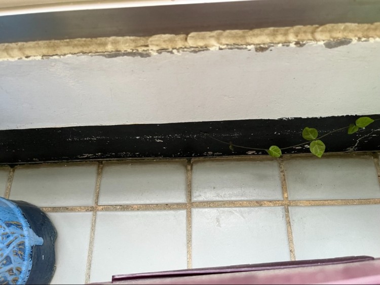 아랫집 베란다 바닥.jpg