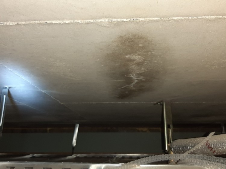 Resized_20231029_115258 (1).jpeg