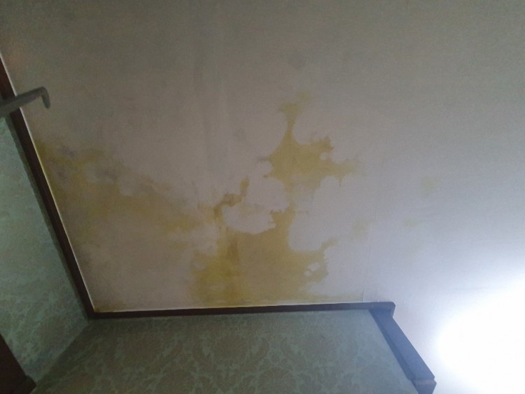 1층 21.09.10 마르기시작.jpg