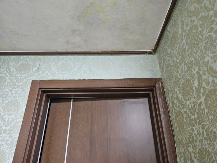 1층 23.05.12 다시 젖음.jpg