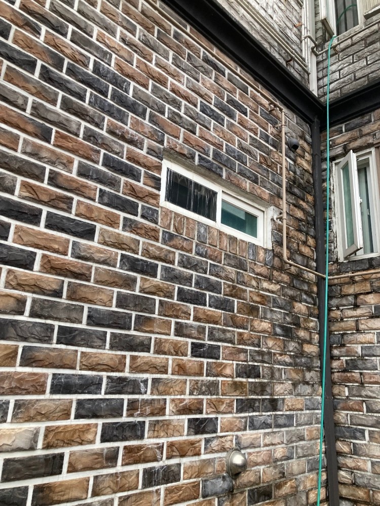 IMG_0724_12:11 오전 8시 비안옴.jpg