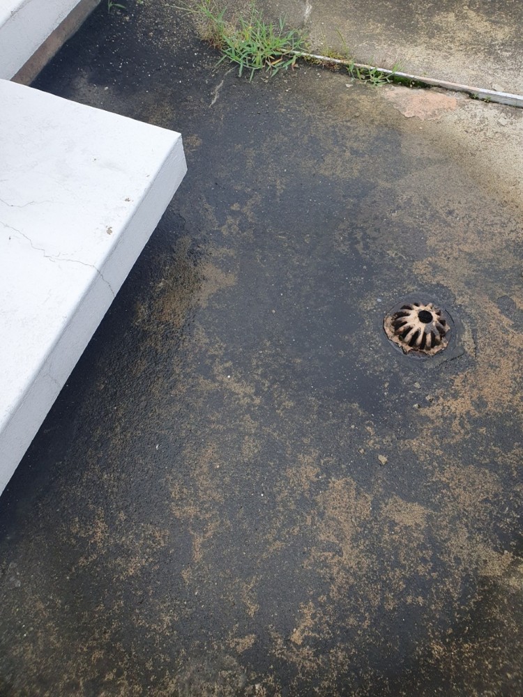 KakaoTalk_20231228_090915767_01 (1).jpg