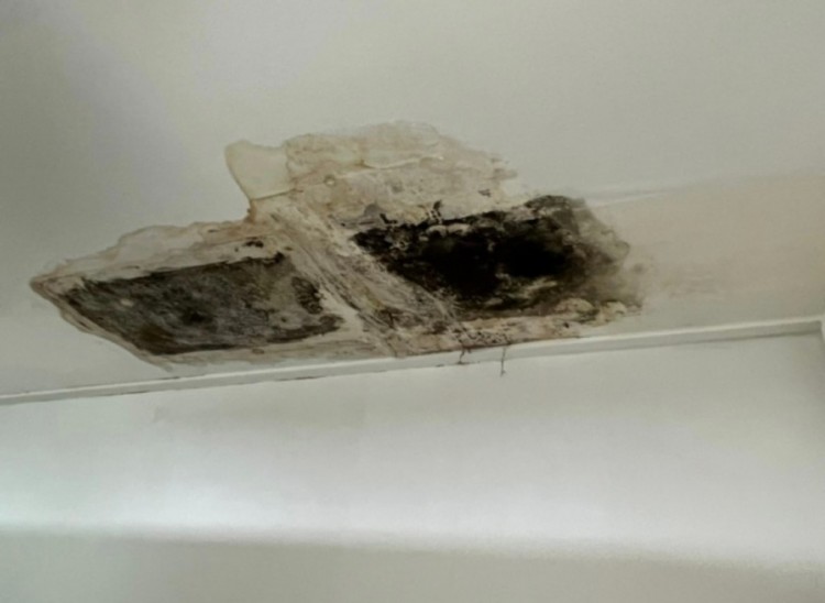 KakaoTalk_20240127_143915895_04 (1).jpg