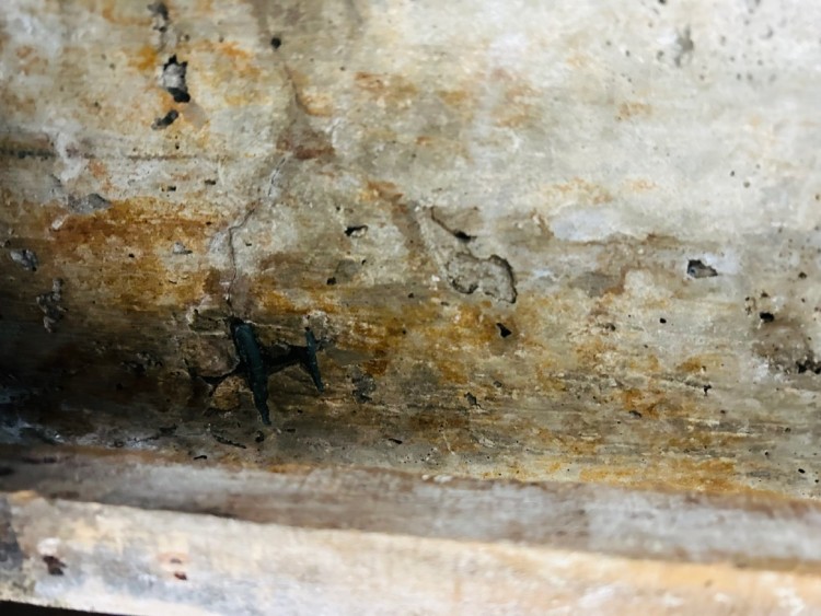 KakaoTalk_20240127_144035869_03 (1).jpg