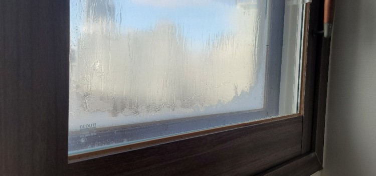 KakaoTalk_20240129_172648318_07 (1).jpg