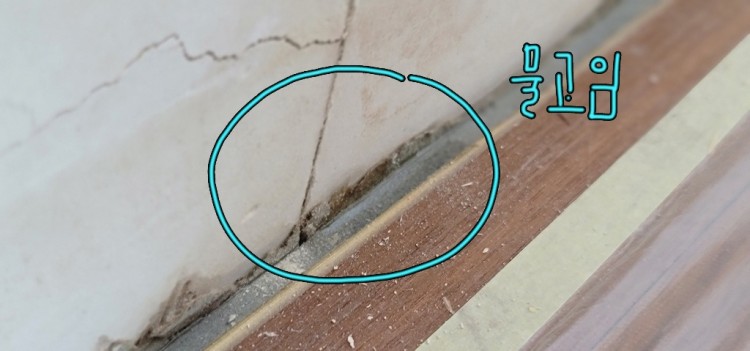 KakaoTalk_20240129_172648318_03 (1).jpg