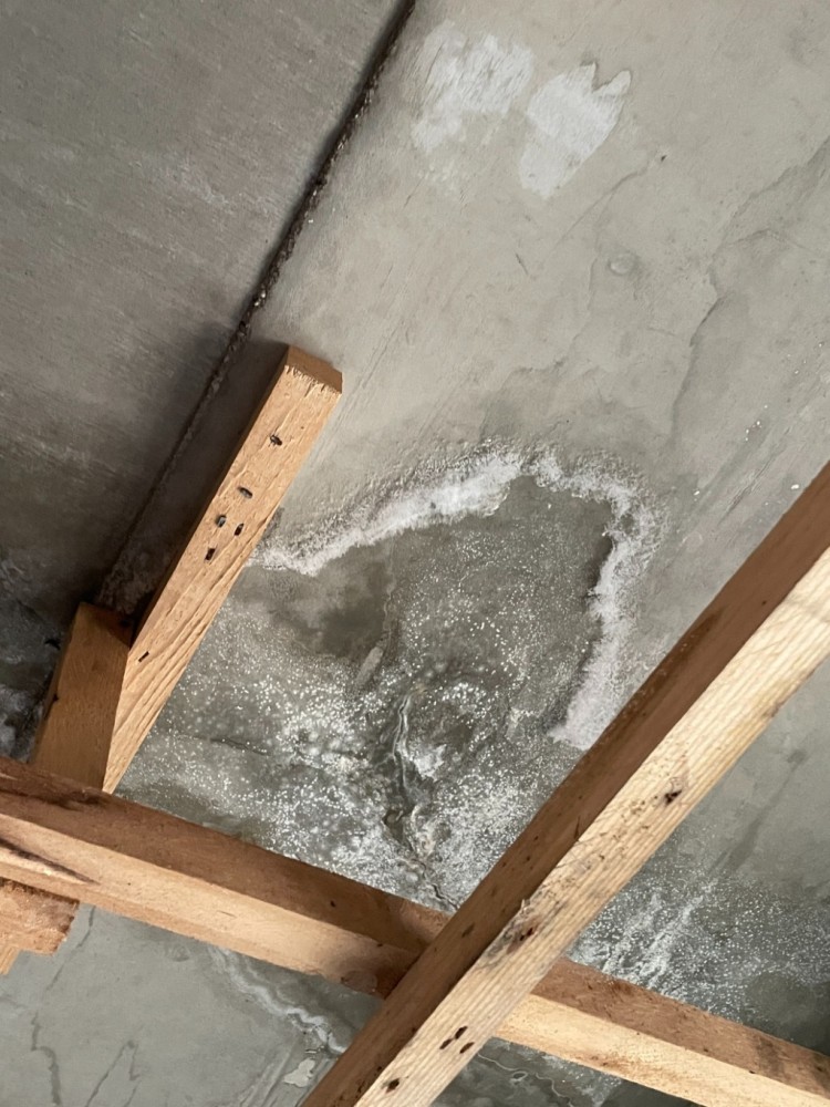 KakaoTalk_20240201_121014258_01 (1).jpg