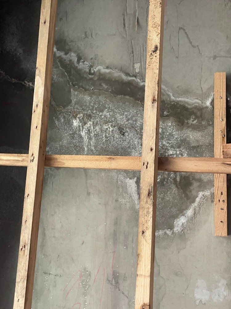 KakaoTalk_20240201_121014258_02 (1).jpg