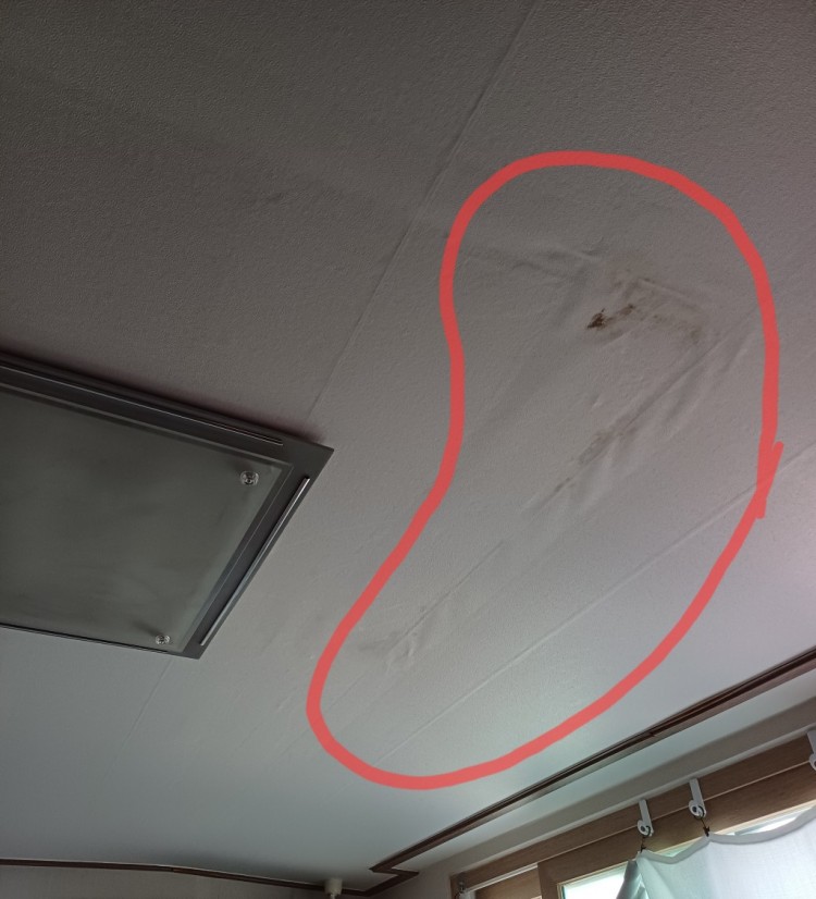 20240201_114641 (1).jpg