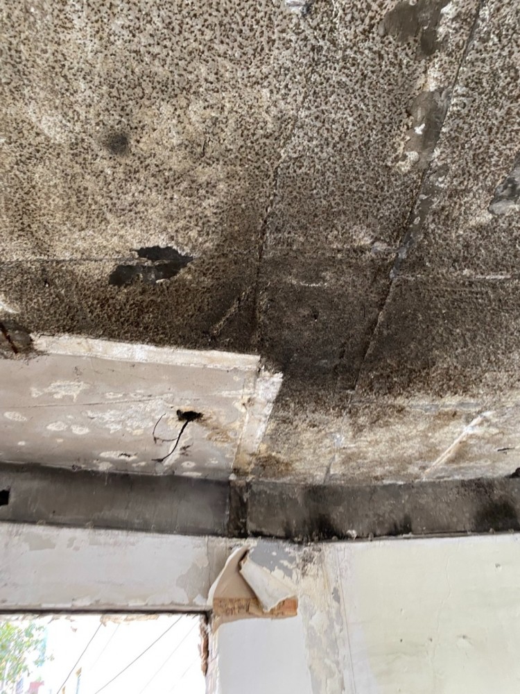 KakaoTalk_Photo_2024-07-27-13-25-25 008.jpeg