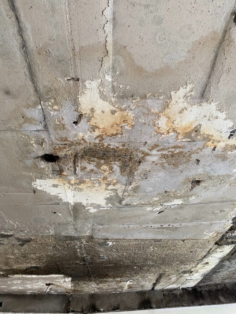 KakaoTalk_Photo_2024-07-27-13-25-25 007.jpeg