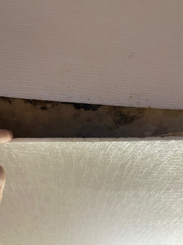 벽지 단열재.jpg