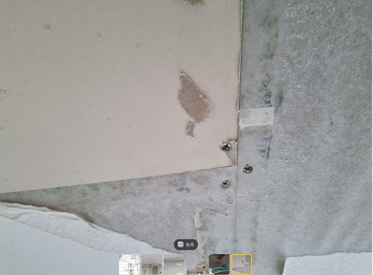 스크린샷 2025-01-30 200713.png