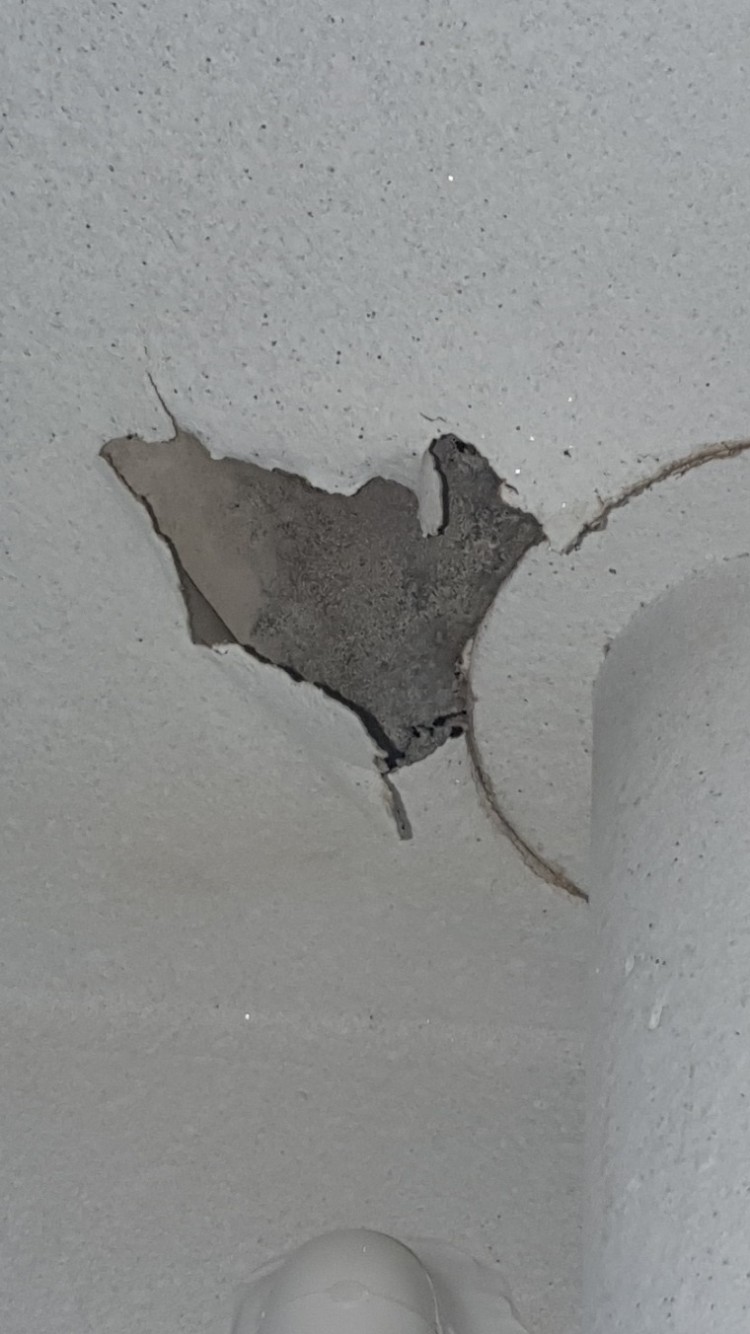 Resized_20250426_201656002 (1).jpeg