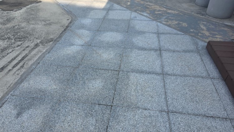 20250331_092911 (1).jpg