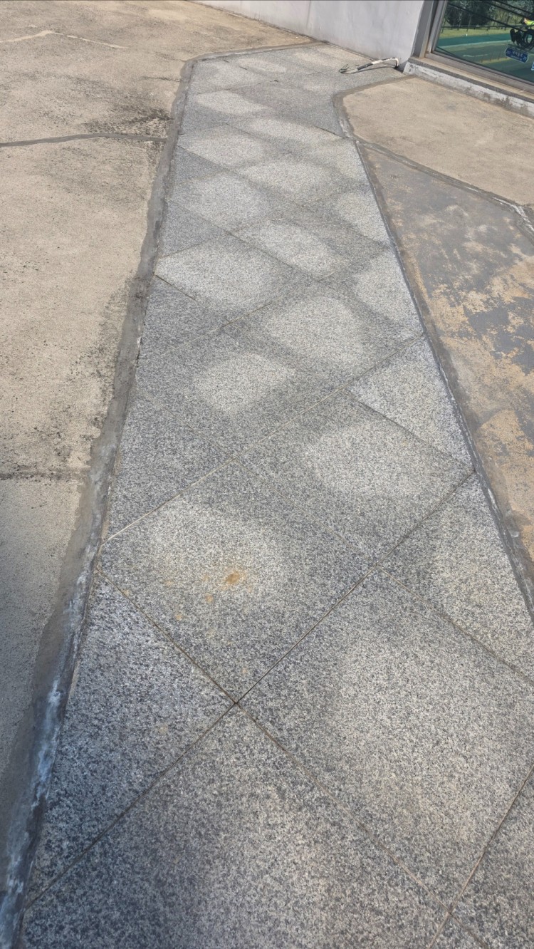 20250331_092920 (1).jpg