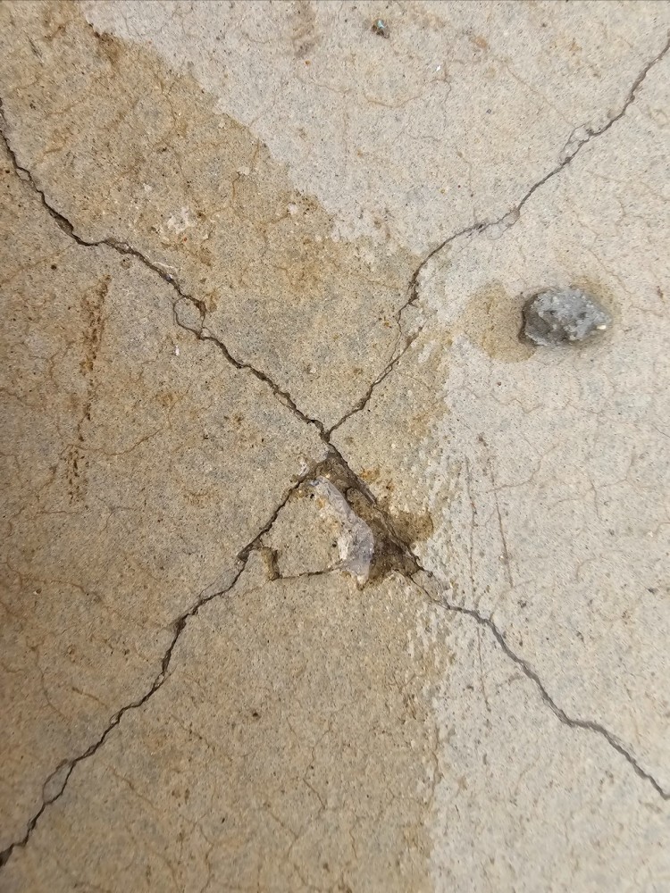 사본 -20250620_094455.jpg