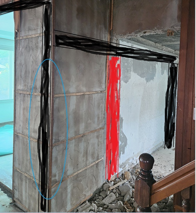 보성네 실사.jpg