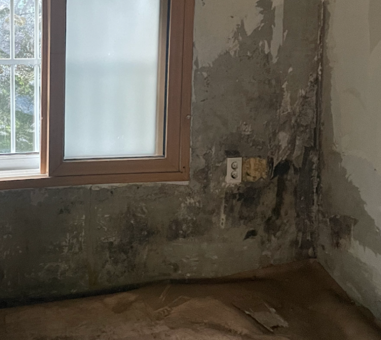 스크린샷 2025-08-21 오전 10.27.46.png