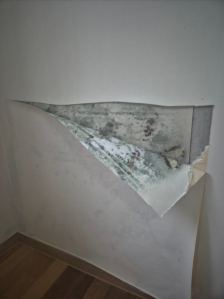 9.8 작은방(벽지제거).jpg