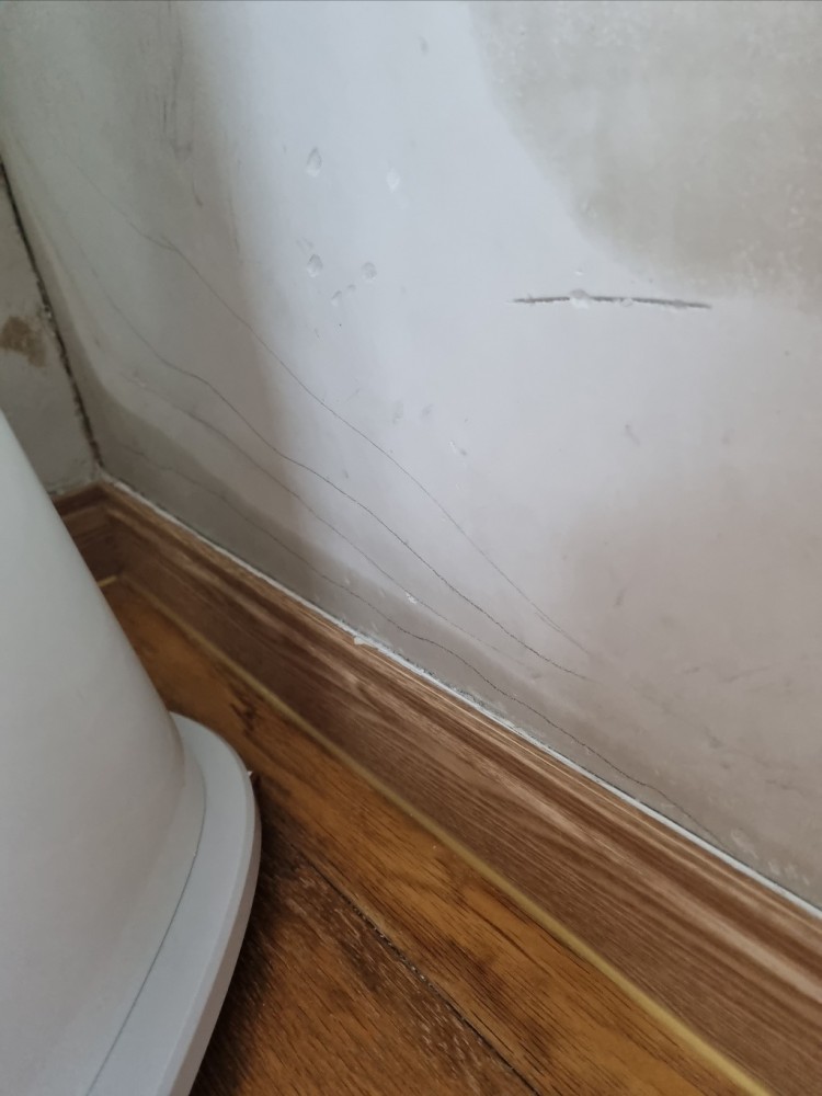 9.12 금요일(비오고 난 후).jpg