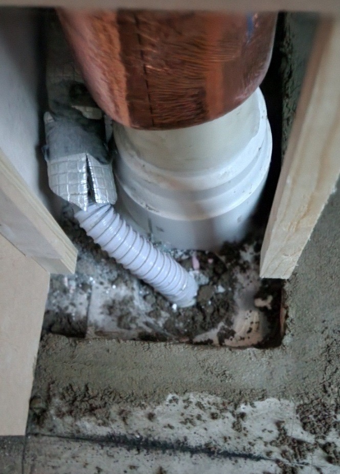 20250829_062204 (2).jpg