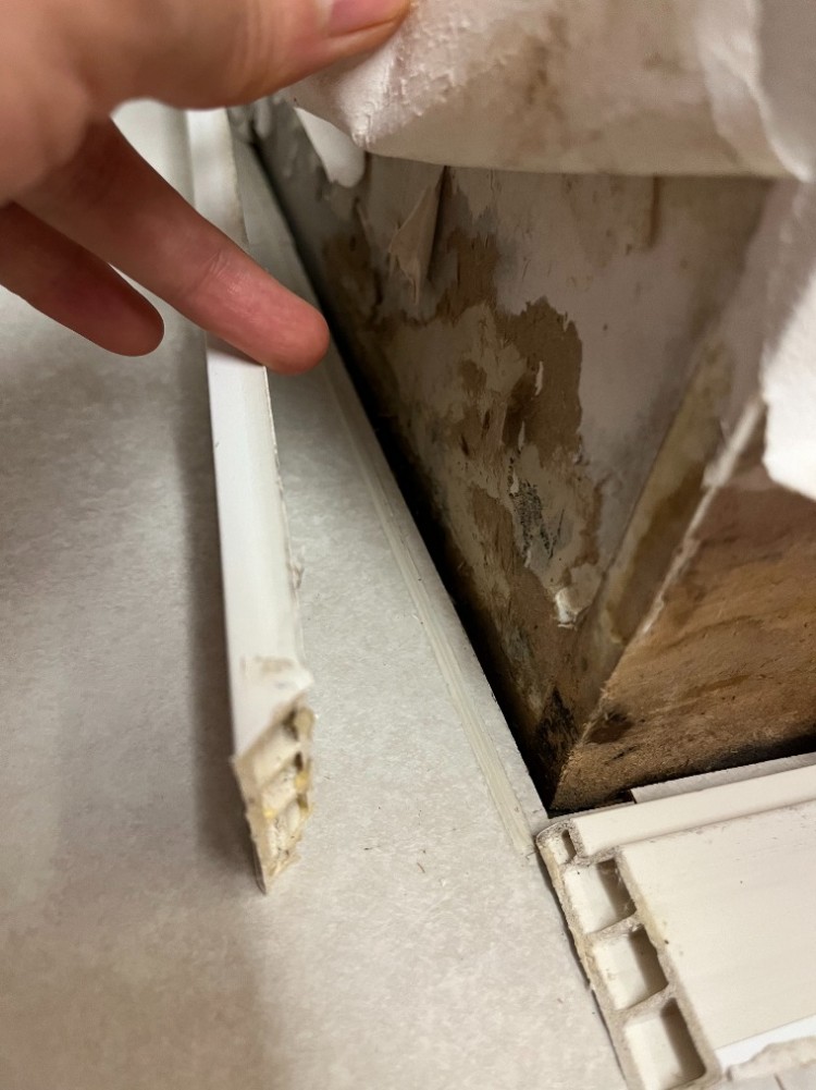 20250829_062118 (2).jpg