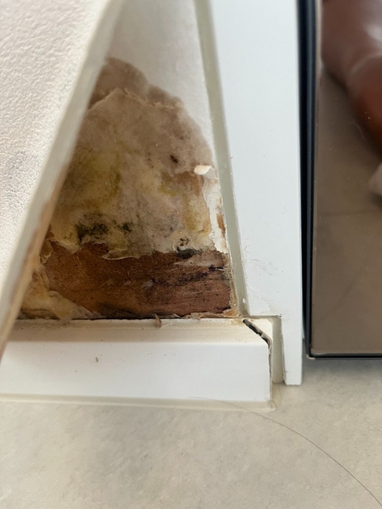 20250829_062118 (1).jpg