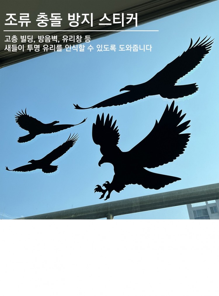 860_조류_충돌1.jpg