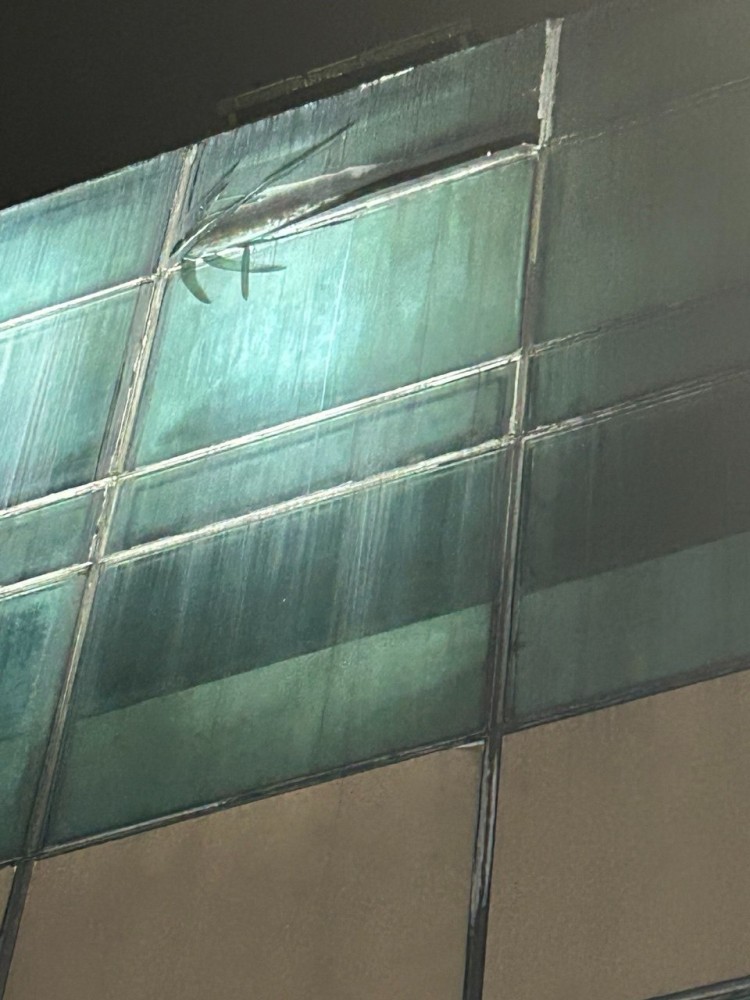 photo_2025-10-15_12-50-22 (2).jpg